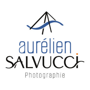 Aurélien_Salvucci_Logo_graphical_activity_identité_visuelle_logo