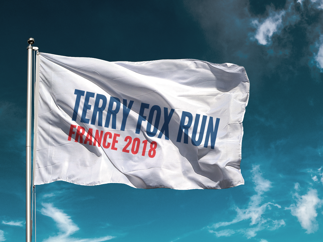 refonte logo terry fox run graphical activity graphiste moselle