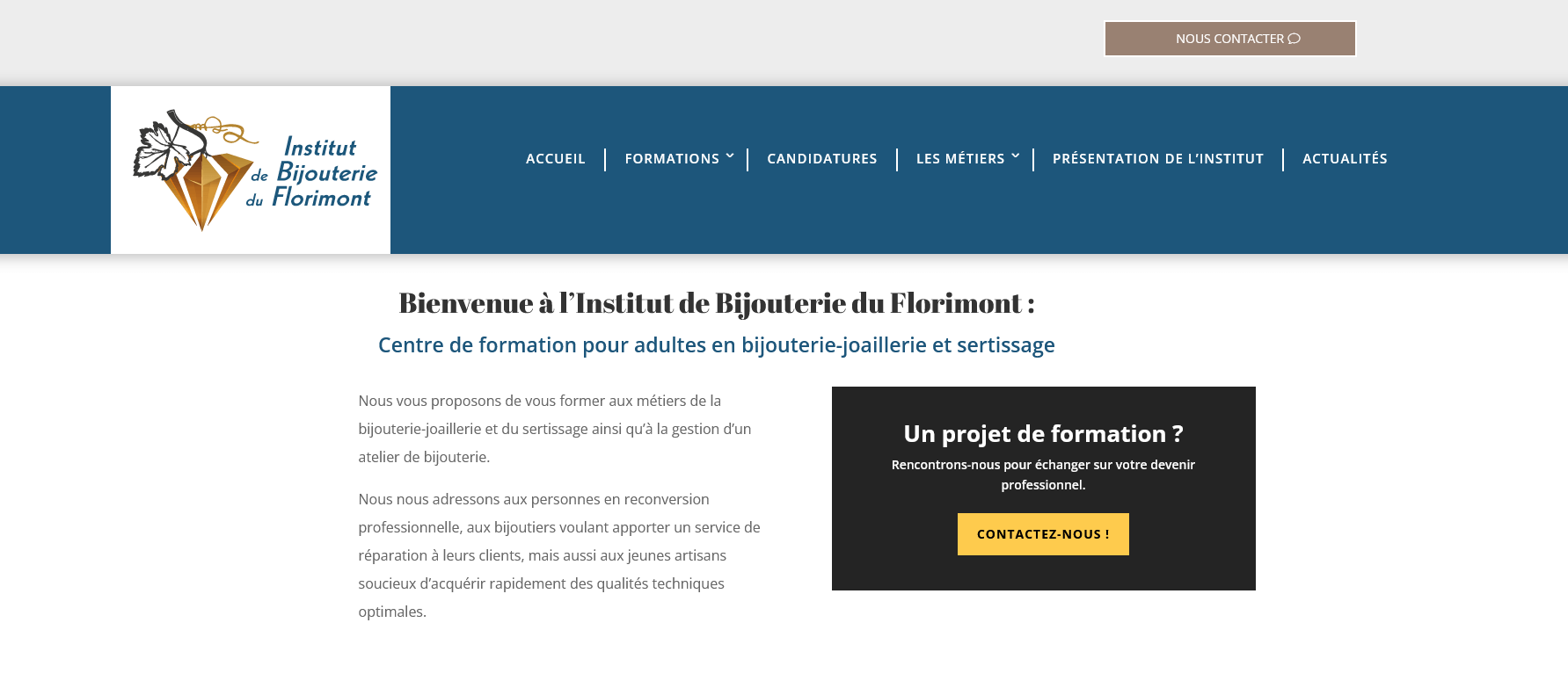 Graphical-activity-site-internet-Institut-Bijouterie-Florimont