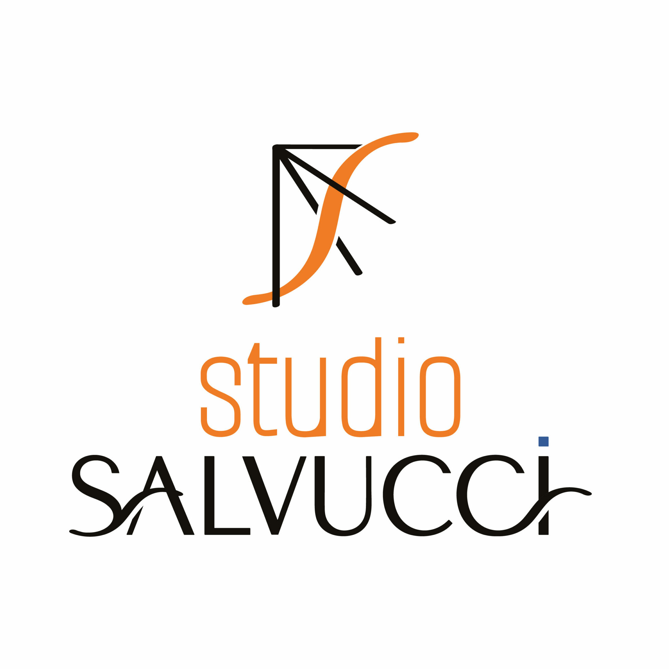 Studio_Salvucci_Logo_Secondaire_Couleur_Rvb_3000px_w_72ppi GRAPHICAL ACTIVITY