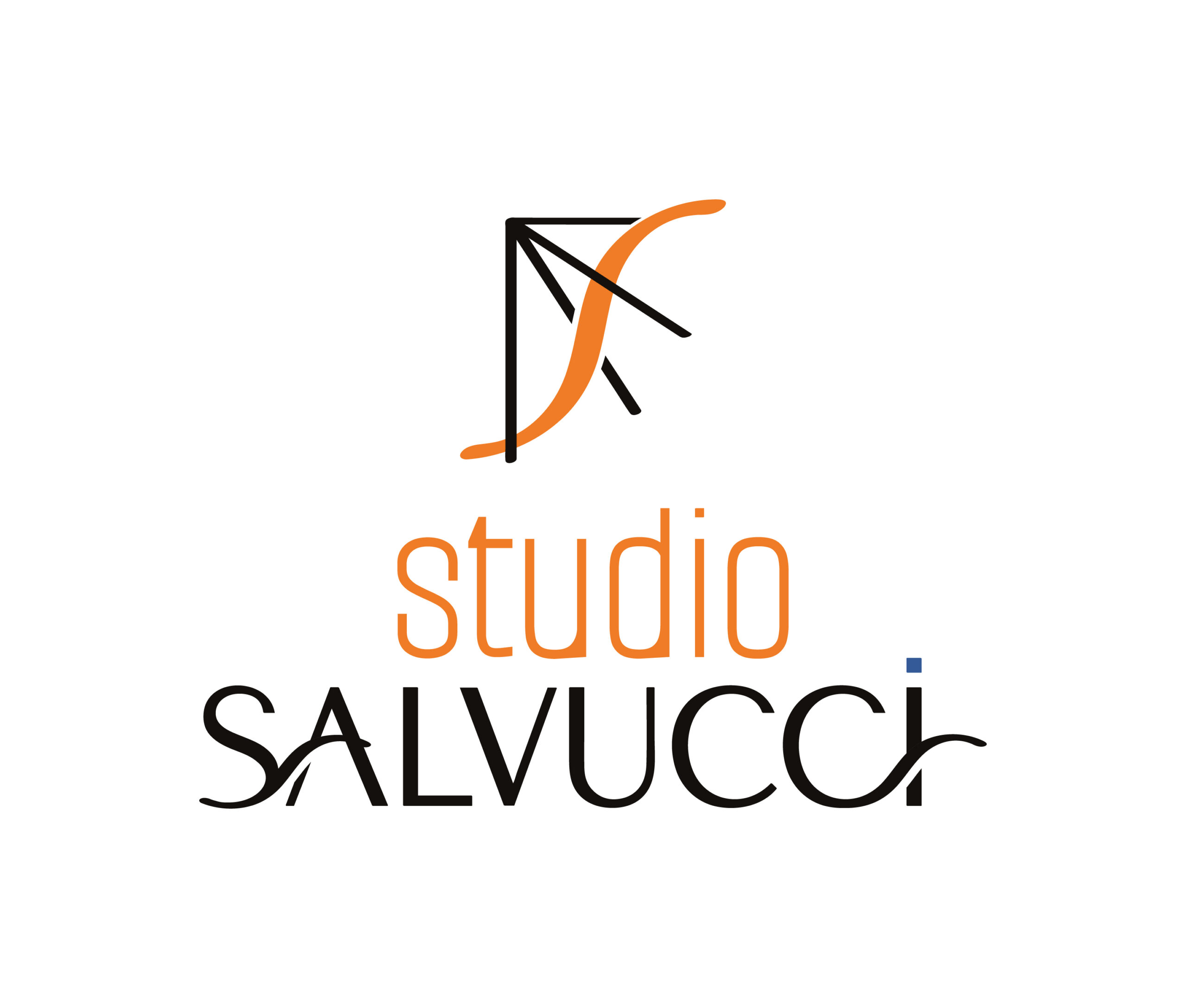 Studio_Salvucci_Logo_Secondaire_Couleur_Rvb_3000px_w_72ppi GRAPHICAL ACTIVITY