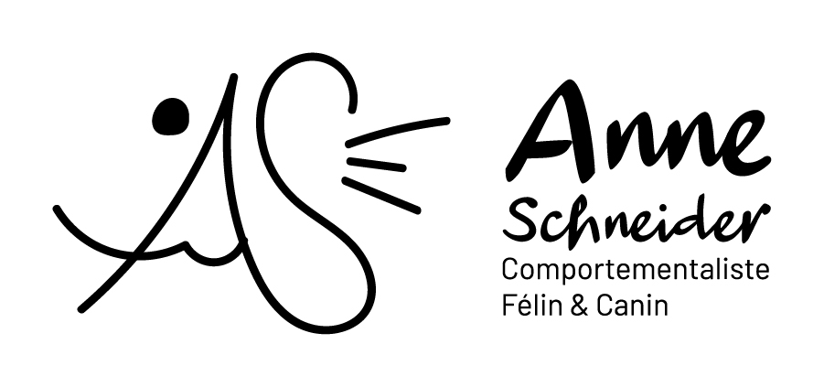 anne-schneider-logo-principal-inverted-rgb-900px-w-72ppi GRAPHICAL ACTIVITY GRAPHISTE MOSELLE
