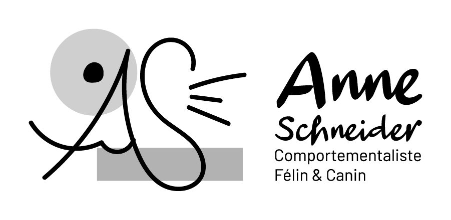 anne-schneider-logo-principal-inverted-rgb-900px-w-72ppi GRAPHICAL ACTIVITY GRAPHISTE MOSELLE
