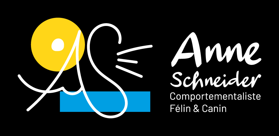 anne-schneider-logo-principal-inverted-rgb-900px-w-72ppi GRAPHICAL ACTIVITY GRAPHISTE MOSELLE
