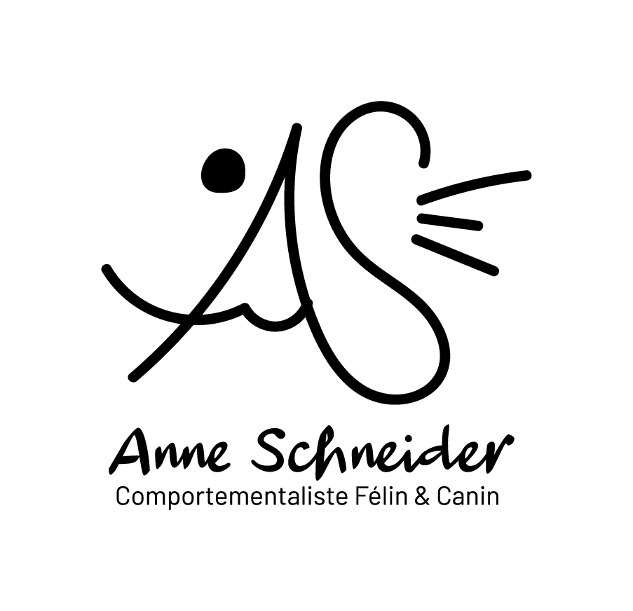 anne-schneider-logo-principal-inverted-rgb-900px-w-72ppi GRAPHICAL ACTIVITY GRAPHISTE MOSELLE