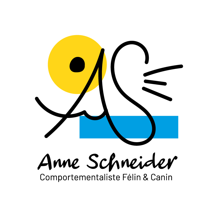anne-schneider-logo-secondaire-full-color-rgb-900px-w-72ppi graphical activity