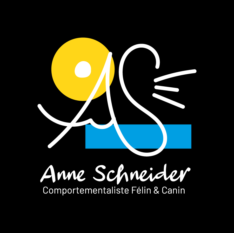 anne-schneider-logo-principal-inverted-rgb-900px-w-72ppi GRAPHICAL ACTIVITY GRAPHISTE MOSELLE